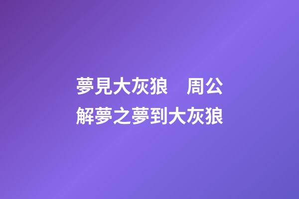 夢見大灰狼　周公解夢之夢到大灰狼